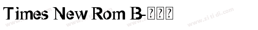 Times New Rom B字体转换